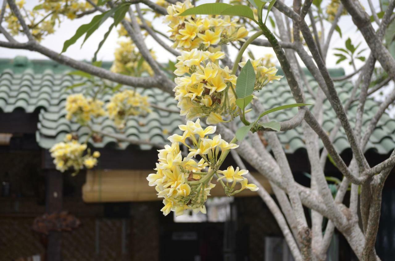 Villa Yukie Senggigi Montongbuwoh 外观 照片